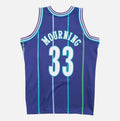Alonso Mourning Charlotte Hornets 1994-95 Official NBA product image 1