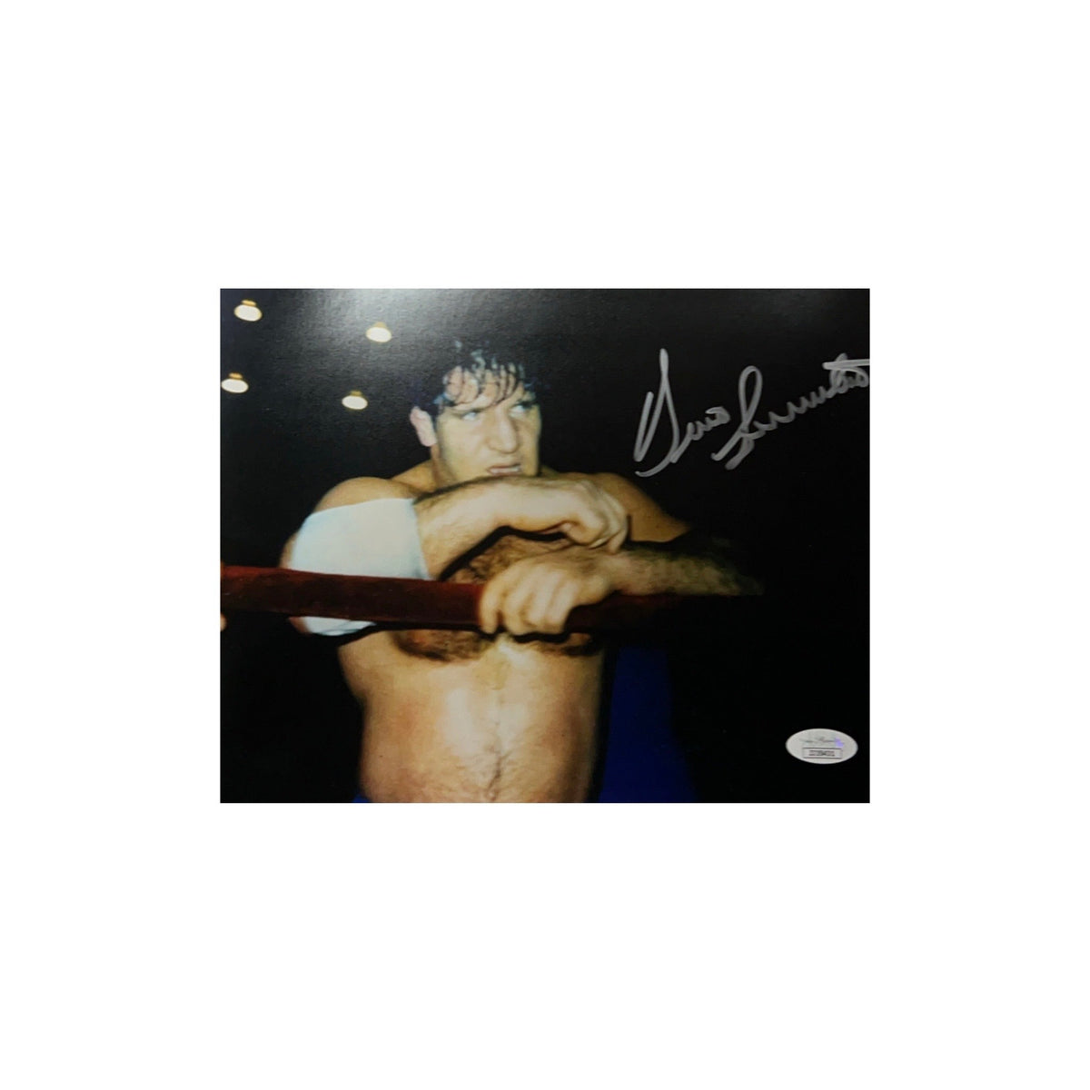 Bruno Sammartino Autographed WWF 8x10 JSA product image 1, provided for visual reference and product detail review