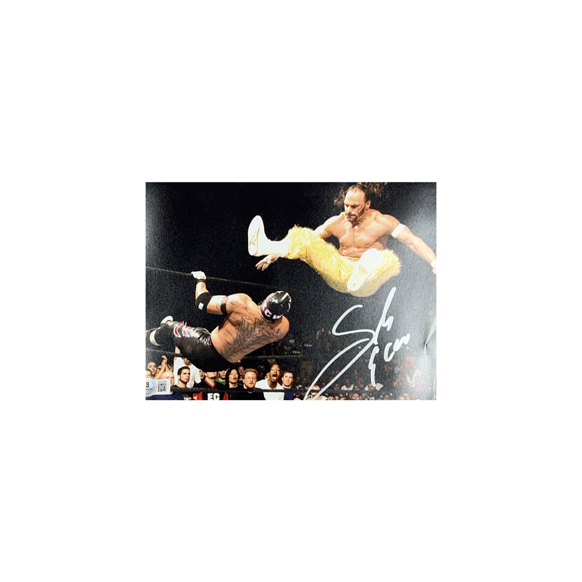 Sabu Autographed WWE ECW Leg Drop 8x10 Beckett product image 1, provided for visual reference and product detail review