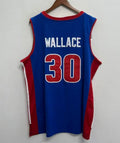Rasheed Wallace Detroit Pistons Official NBA Mitchell & product image 1