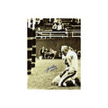 Y.A. Tittle Autographed New York Giants Vertical 16x20 "HOF 71" Inscription Leaf product image 1, provided for visual