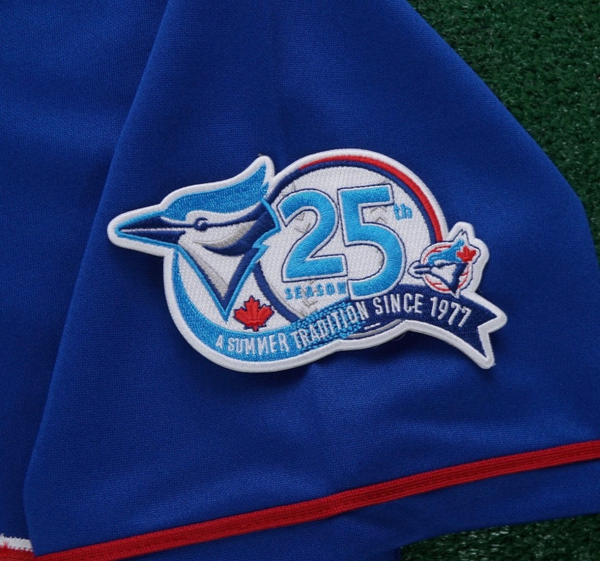 Carlos Delgado YOUTH KIDS Toronto Blue Jays Official MLB product image 4