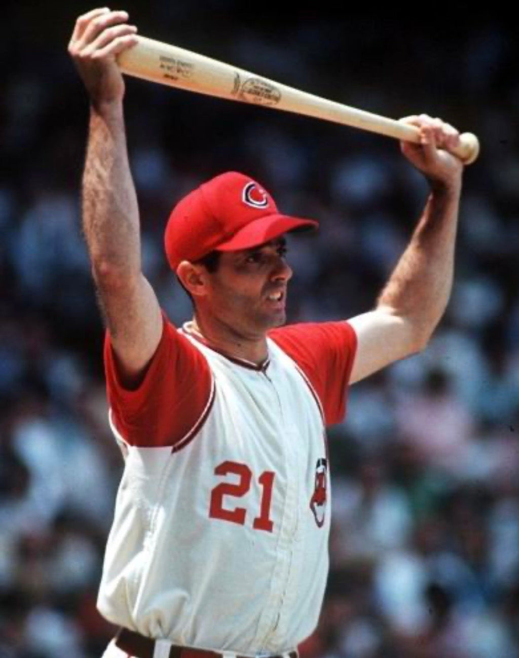 Rocky Colavito Cleveland Indians Official MLB Majestic product image 3