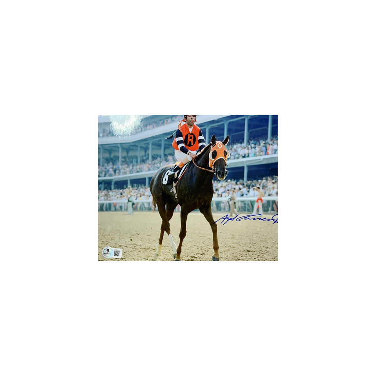 Angel Cordero Autographed Gallop 8x10 Beckett product image 1, provided for visual reference and product detail review