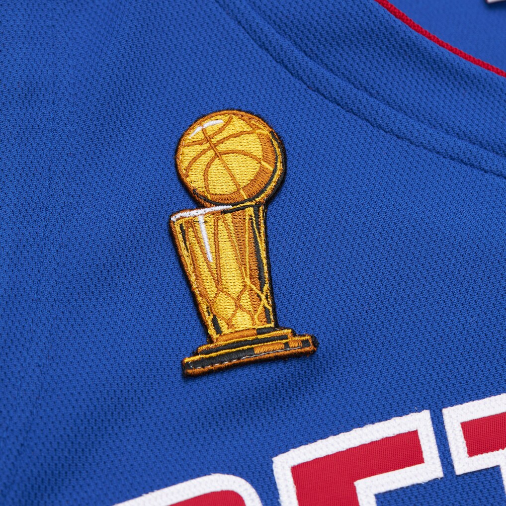 Richard Rip Hamilton 2003-04 Detroit Pistons Official NBA product image 4