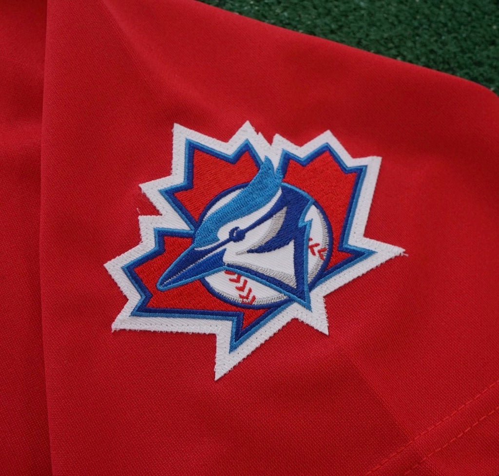 Carlos Delgado YOUTH KIDS Toronto Blue Jays Official MLB product image 3