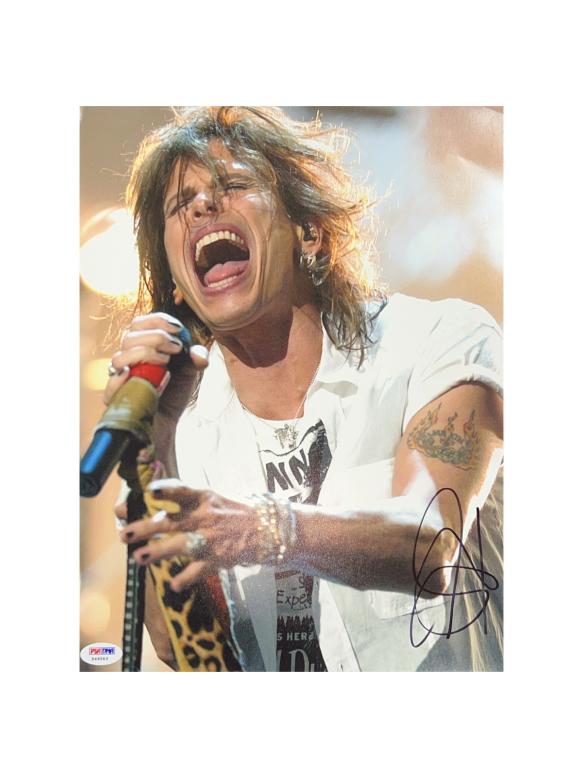 Steven Tyler Autographed 11x14 PSA product image 1, provided for visual reference and product detail review