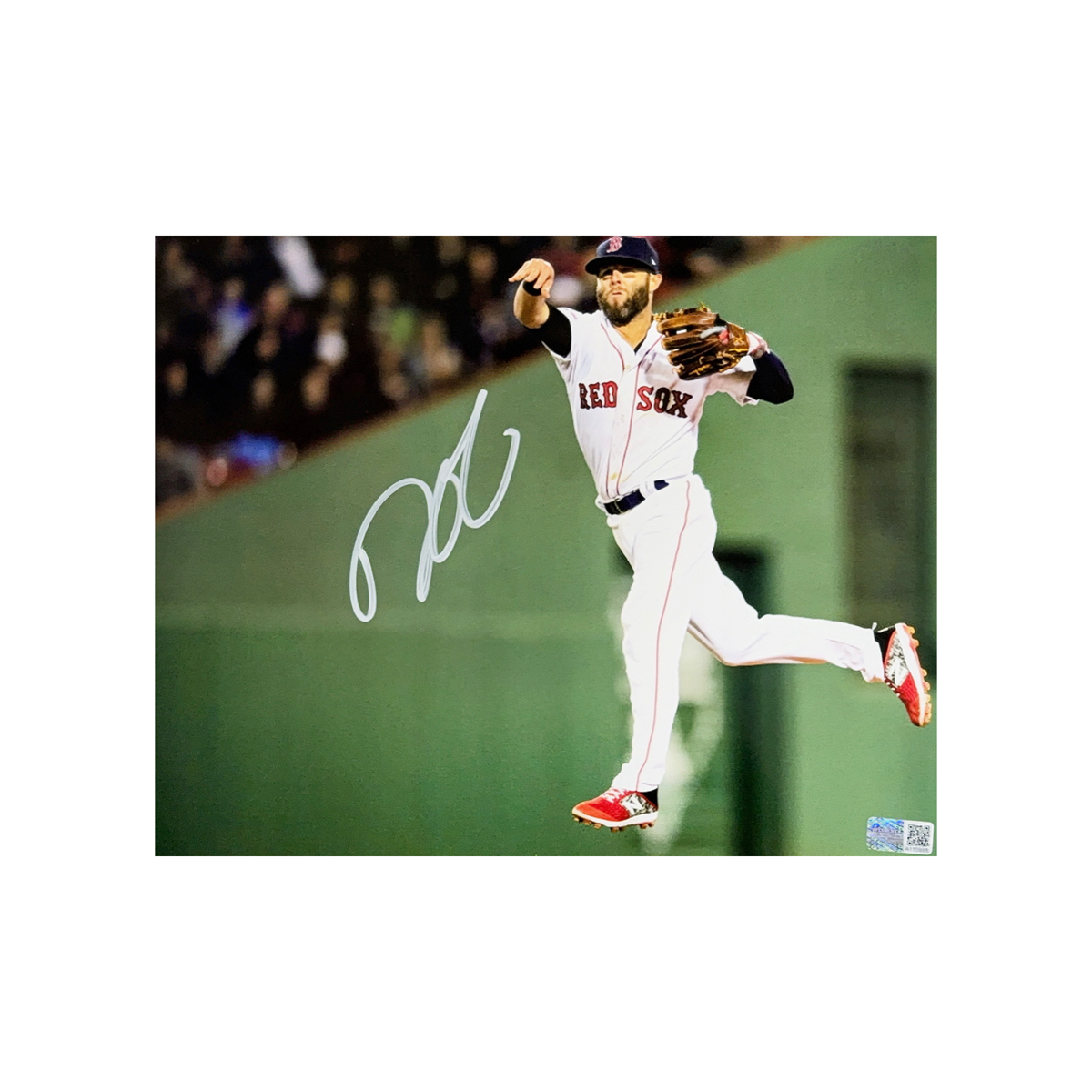 Dustin Pedroia Autographed Boston Red Sox Jump Throw 8x10 Steiner CX - Unframed product image 1, provided for visual