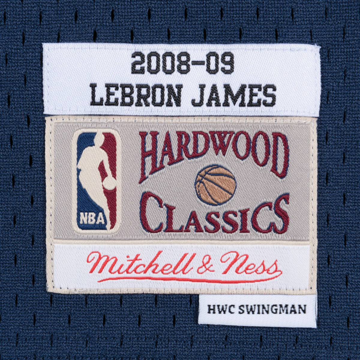 Cleveland Cavaliers Swingman Jersey Alternate Lebron James 2008-09 product image 4, provided for visual reference and