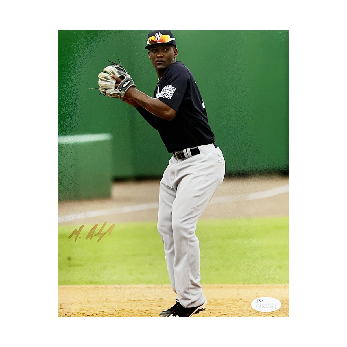 Miguel Andujar Autographed New York Yankees Fielding 8x10 JSA product image 1, provided for visual reference and product