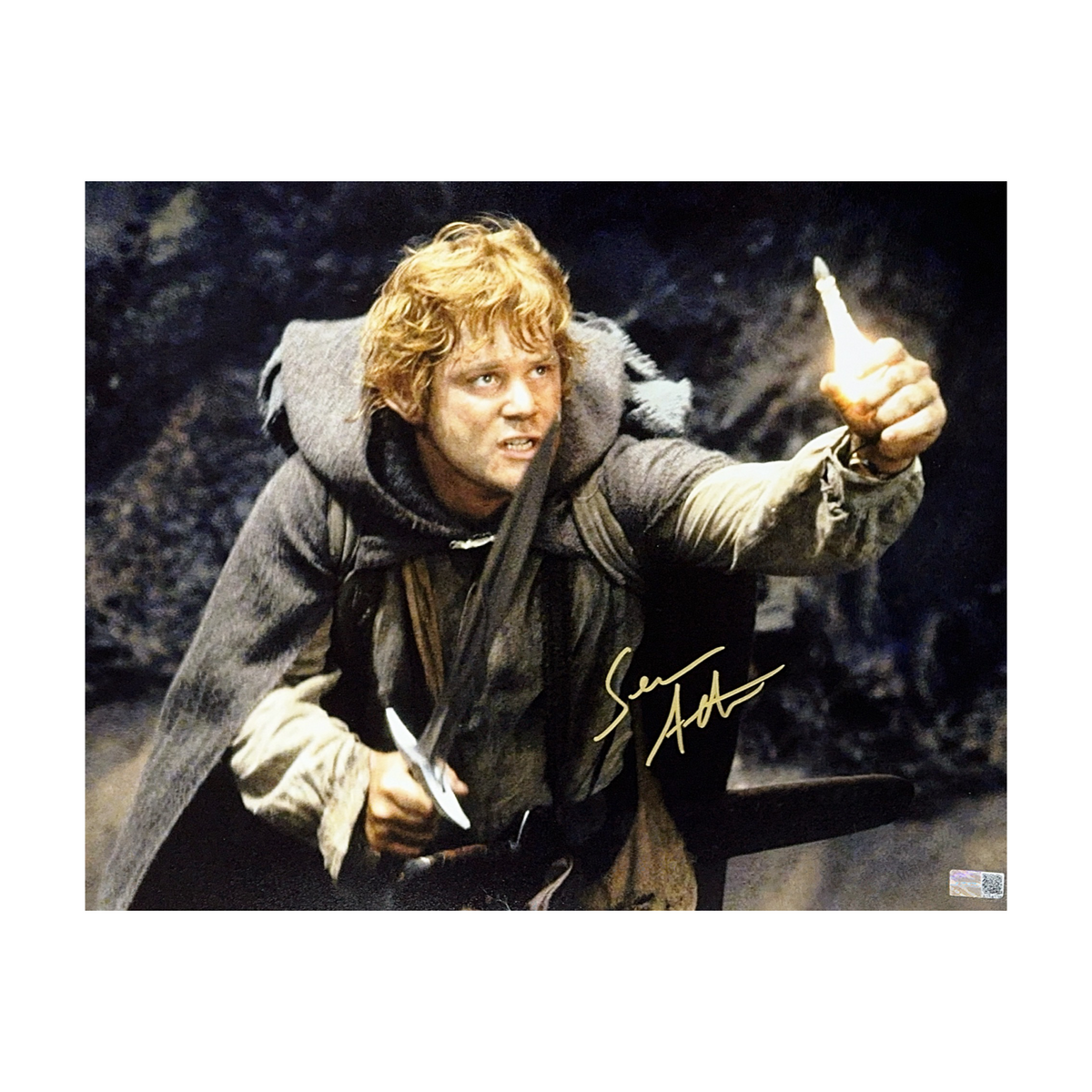 Sean Astin Autographed Lord of the Rings Light of Galadriel 11x14 Steiner CX product image 1, provided for visual reference