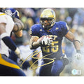 Lesean McCoy Autographed University Of Pittsburgh Navy Jersey Running 8x10 Beckett BAS product image 1, provided for visual