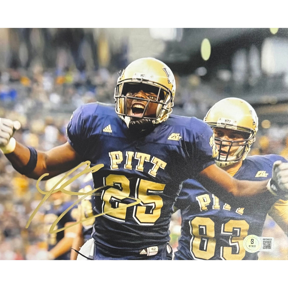 Lesean McCoy Autographed University Of Pittsburgh Navy Jersey Yelling 8x10 Beckett BAS product image 1, provided for visual